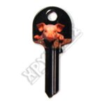 SILCA ΓΟΥΡΟΥΝΑΚΙ ΚΛΕΙΔ.ΖΩΓΡΑΦΙΣΤΑ