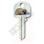 SILCA ΦΩΚΙΑ ΚΛΕΙΔ.ΖΩΓΡΑΦΙΣΤΑ